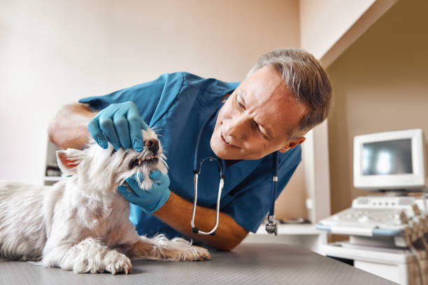 Best Emergency Dental Extractions in Mariemont, OH